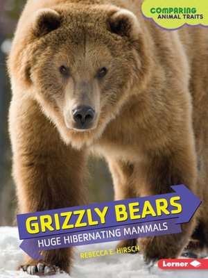 cover image of Grizzly Bears